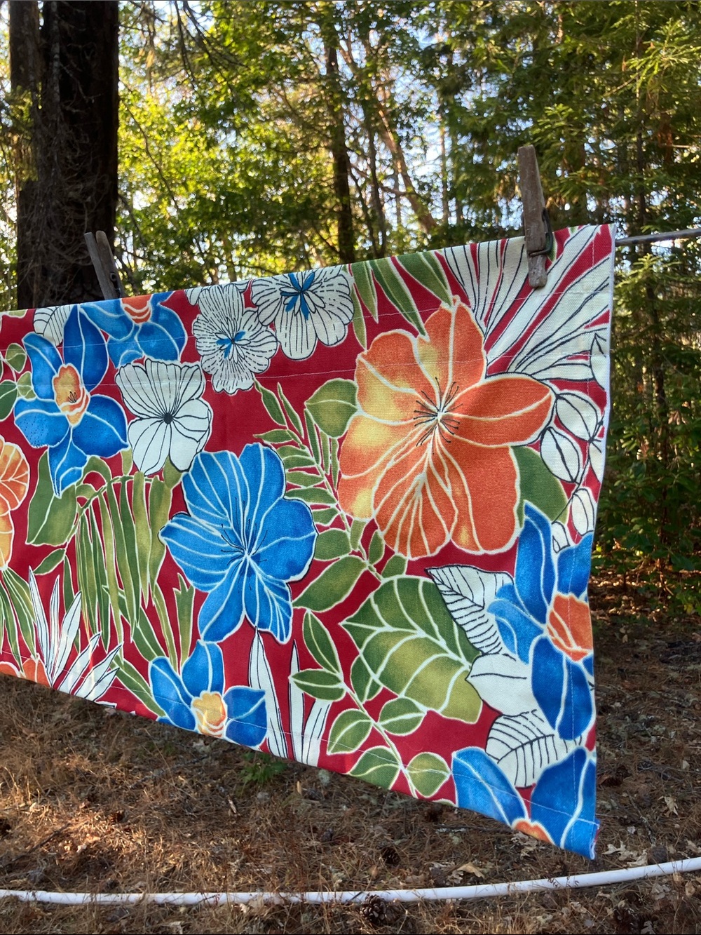Solarium valences 2014 floral with red background 2 panels 54 x 14.5” colorful